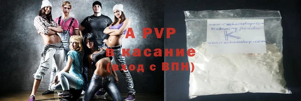 индика Зеленокумск