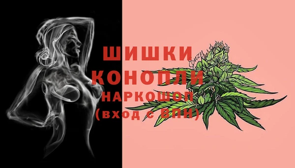 метадон Зеленодольск
