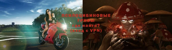 индика Зеленокумск