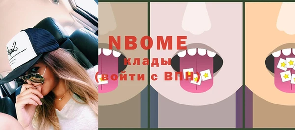 индика Зеленокумск