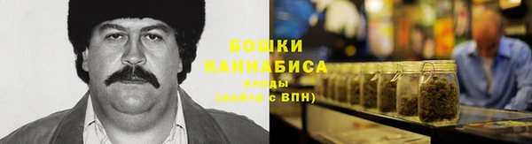 метадон Зеленодольск