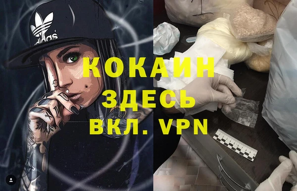 индика Зеленокумск