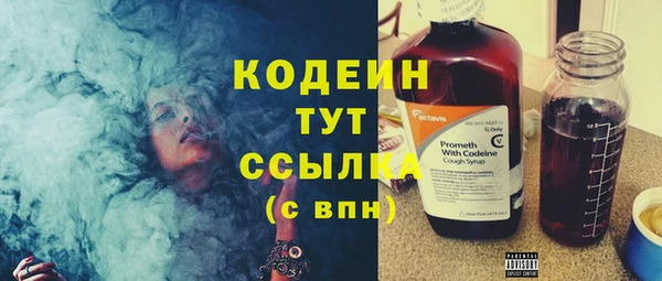 индика Зеленокумск