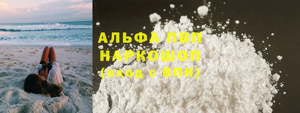 индика Зеленокумск