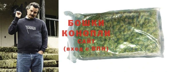 индика Зеленокумск