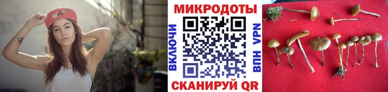 Псилоцибиновые грибы MAGIC MUSHROOMS  Купить где  Дедовск 